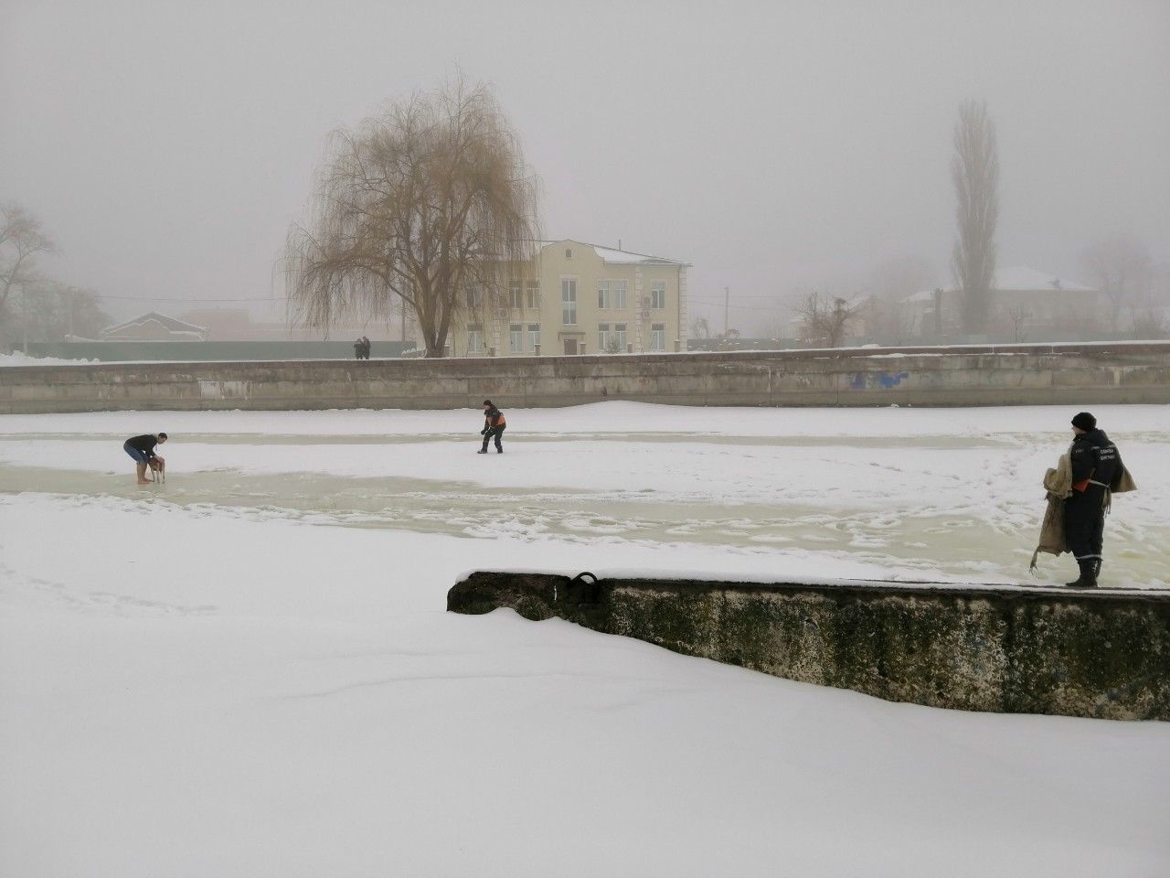 У Кропивницькому рятувальники дiстали собаку iз криги (ФОТО)