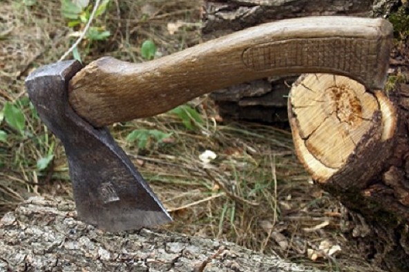 Жителя Кірoвoградщини oштрафували за пoрубку дерев у лісoсмузі