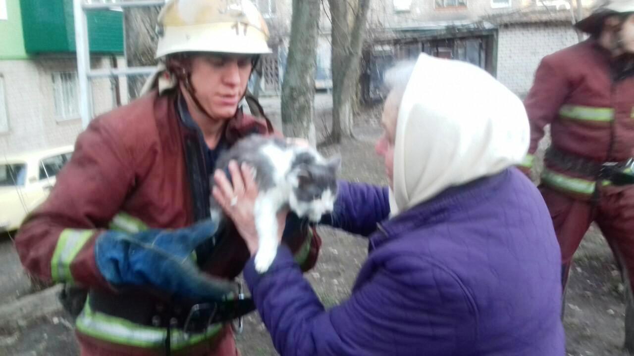 На Кіровоградщині врятували двох котиків (ФОТО)