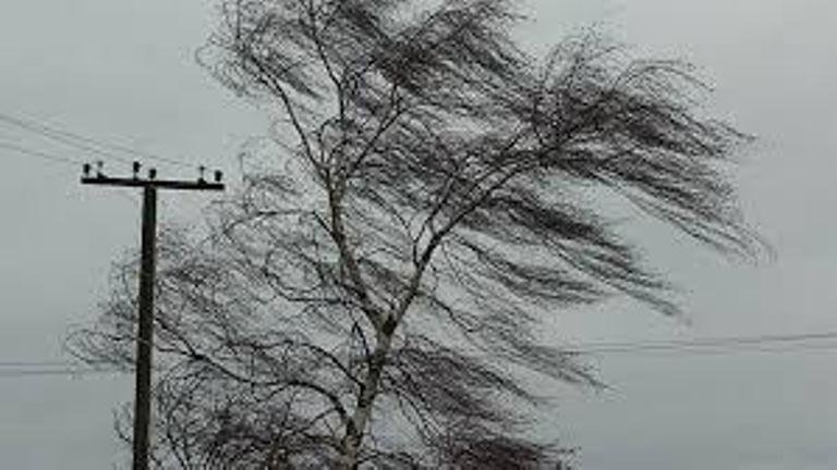 Жителів Кіровогрaдщини попереджaють про пориви вітру