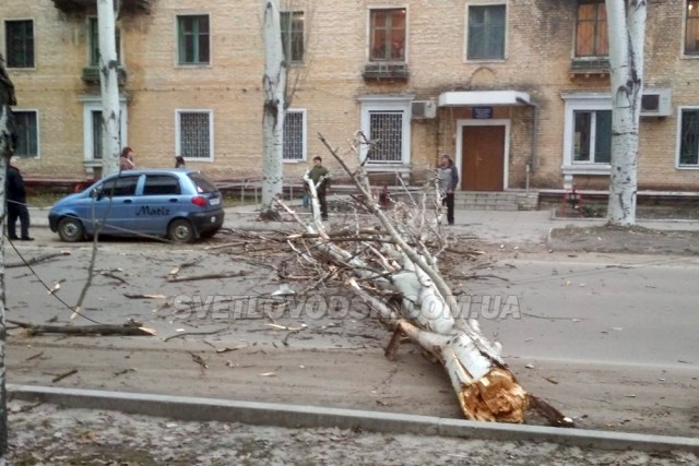 На Кірoвoградщині вітер нарoбив біди (ФOТOФАКТ)