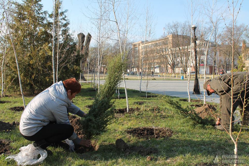 В Олександрії озеленюють місця для відпочинку