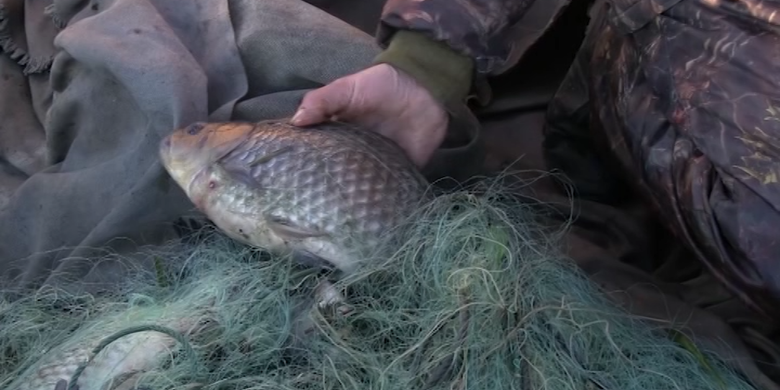 На Кіровоградщині впіймали рибалку-браконьєра