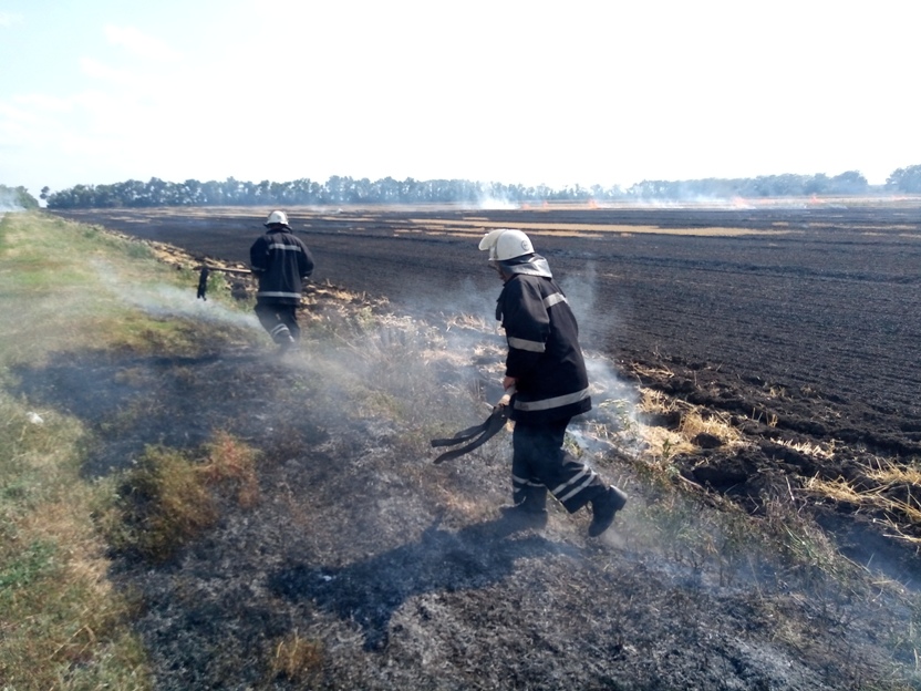 На Кiровоградщинi за добу рятувальники боролись з 8 з пожежами на вiдкритих територiях (ФОТО)