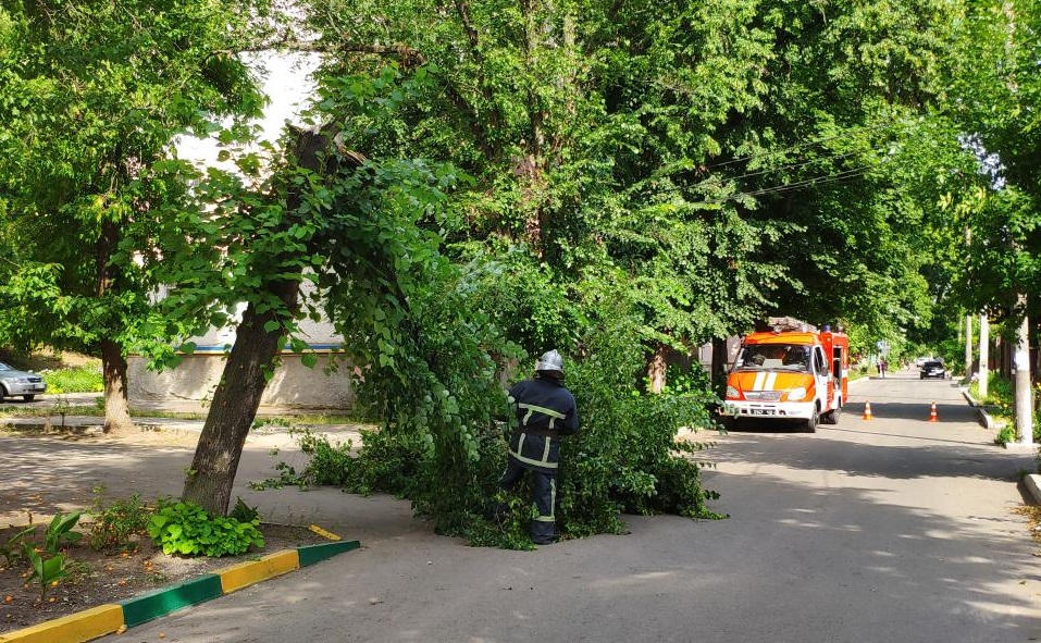 У Кропивницькому гілка аварійного дерева впала на тротуар (ФОТО)