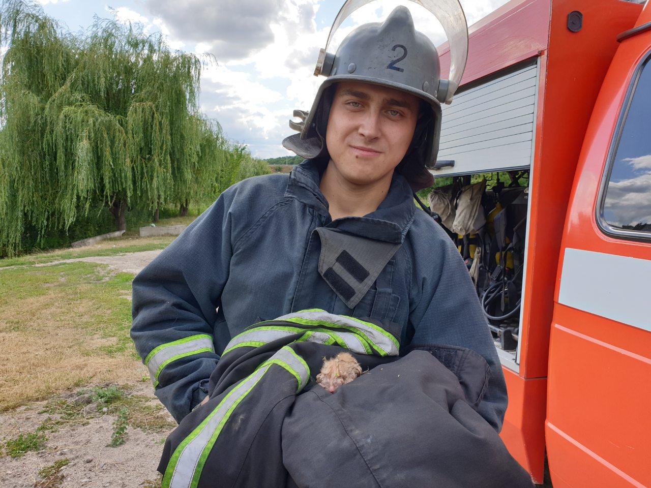 У Кропивницькому юнi хлопцi долучились до порятунку кошеняти (ФОТО)