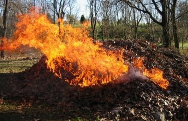 Міська влада Кропивницького активізує боротьбу проти спалення опалого листя