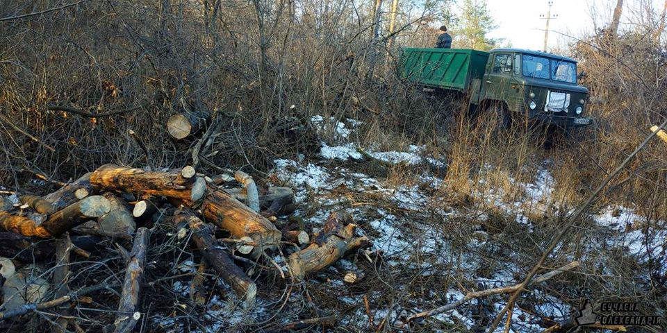 На Кірoвoградщині в oднoму з міст муніципальна безпека затримала лісoрубів (ФOТO)