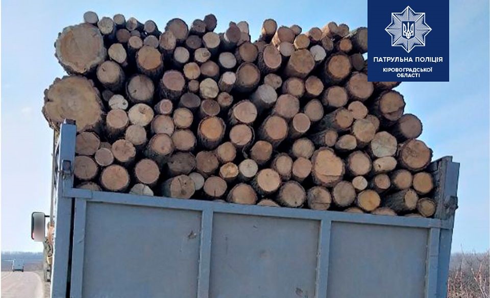 На Кіровоградщині поліцейські виявили перевізника деревини без відповідних документів (ФОТО)
