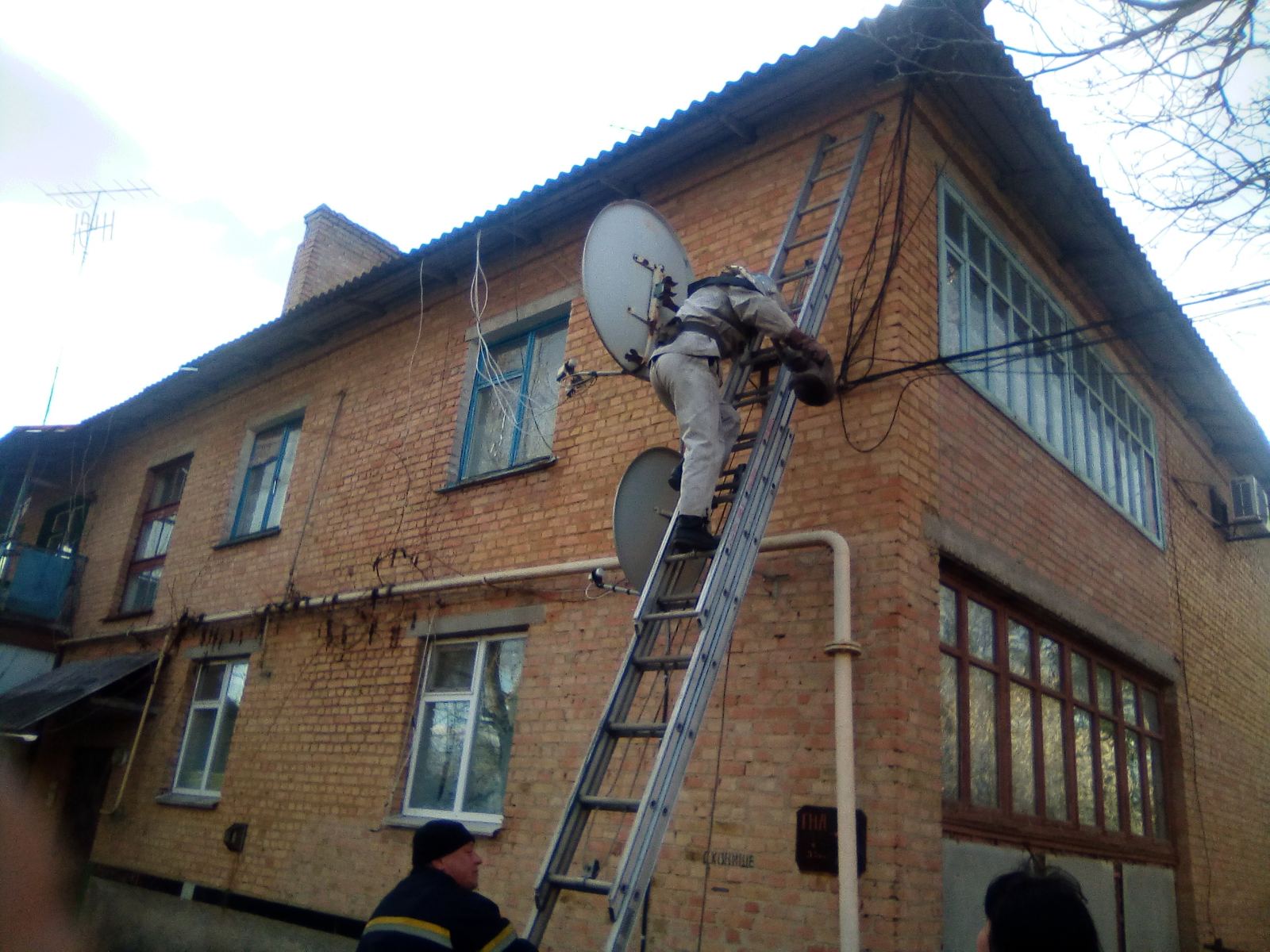 На Кіровоградщині рятувальники допомогли зняти з даху двоповерхiвки домашнього улюбленця