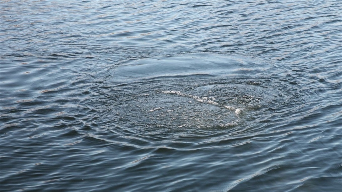 Маленький кропивничанин купався у водоймi без нагляду дорослих (ВIДЕО)
