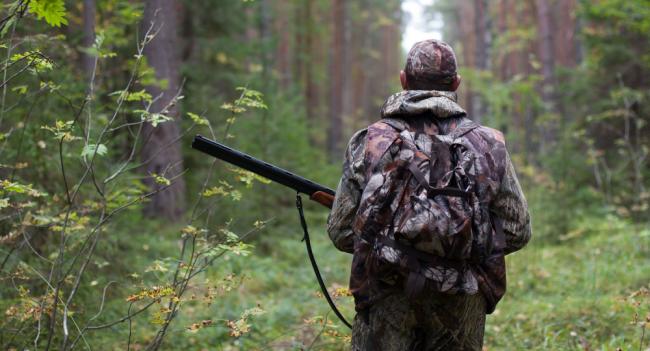 На Кіровоградщині з 1 серпня стартує сезон полювання