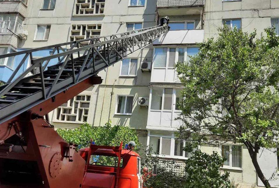 У Кропивницькому кiт впав на балкон чужої квартири (ФОТО)
