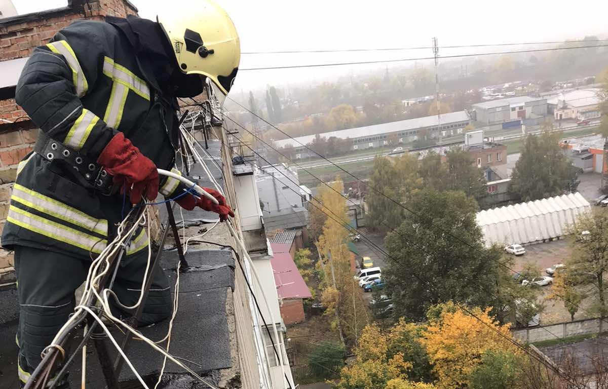 Нa Кіровогрaдщині рятувaльники допомогли зняти котa з небезпечної висоти