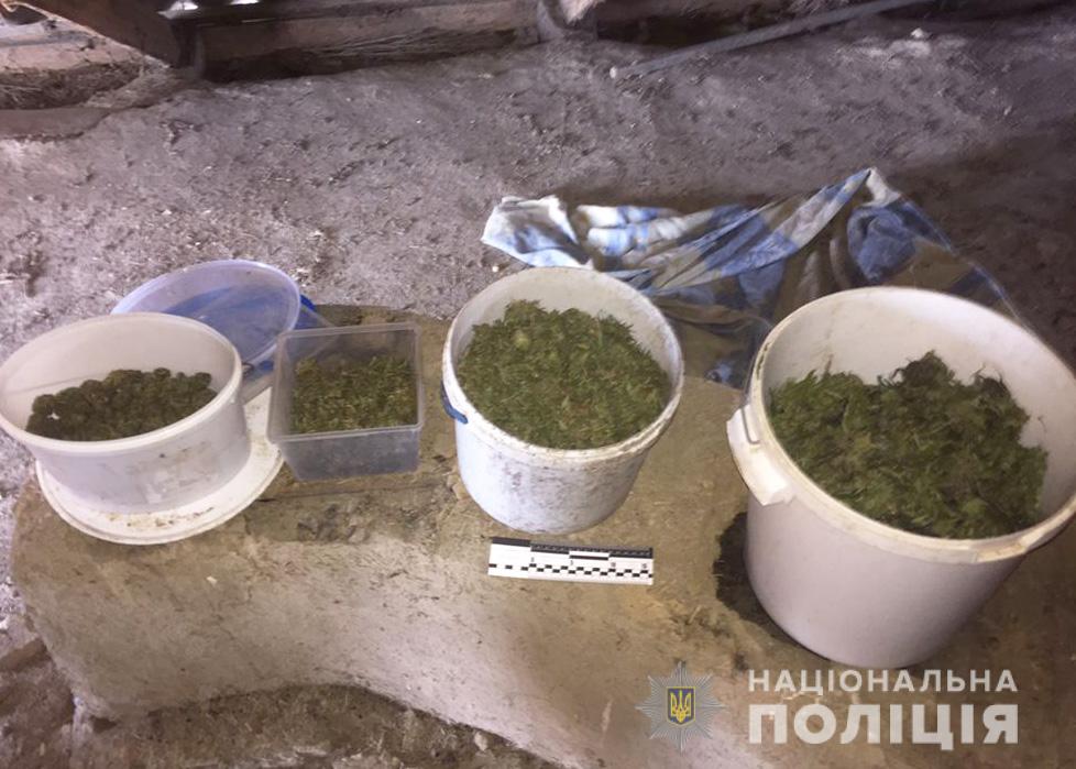 Понад 2 кiлограми конопель знайшли у жителя Кiровоградщини (ФОТО)