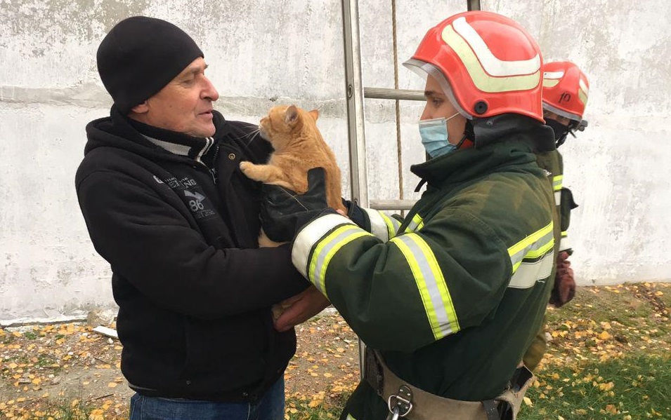 Нa Кіровогрaдщині рятувaльники допомогли зняти чотирилaпого з небезпечної висоти