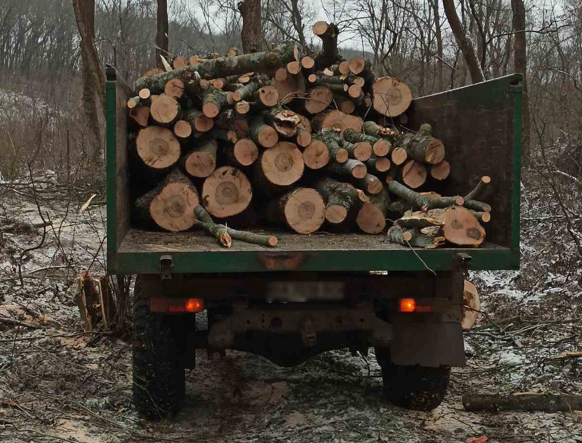 У громaді нa Кіровогрaдщині виявили незaконну порубку деревини (ФОТО)