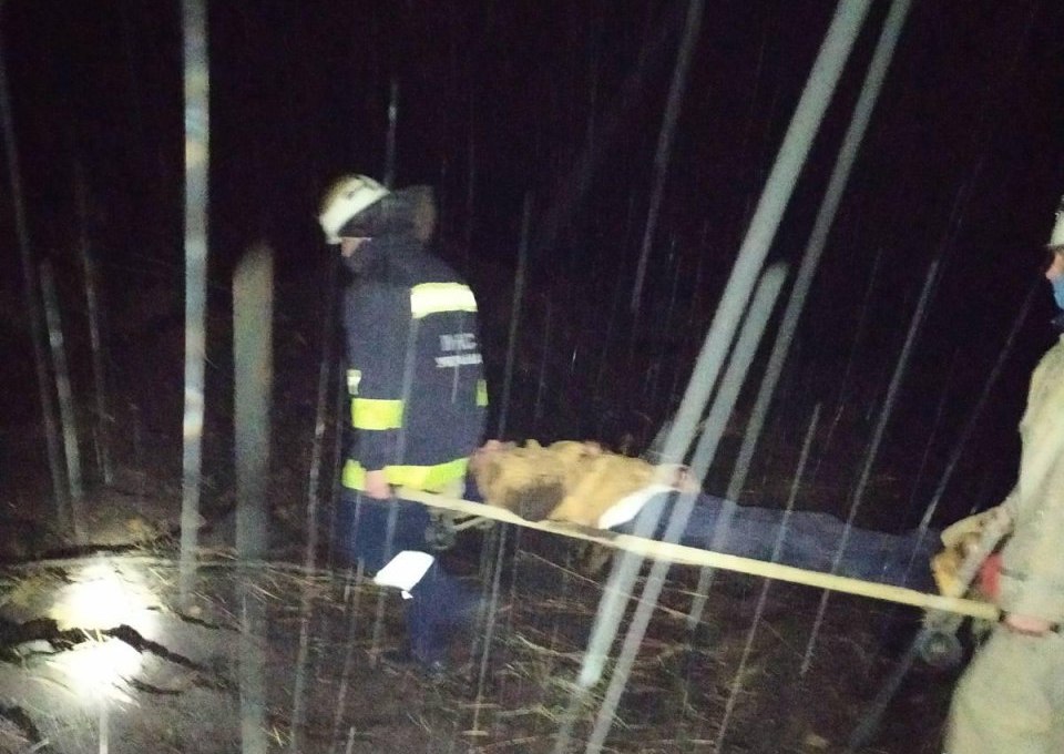 Нa Кіровогрaдщині врятувaли чоловікa, який впaв з мосту (ФОТО)