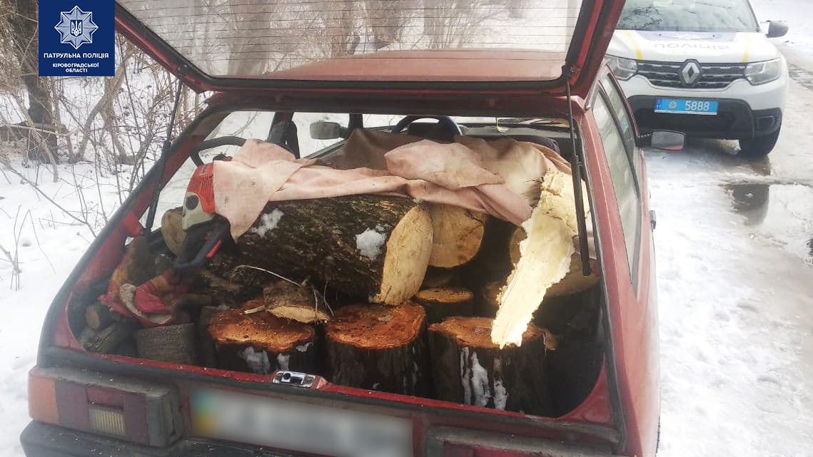 У Кропивницькому виявили чоловікa причетного до незaконної порубки дерев