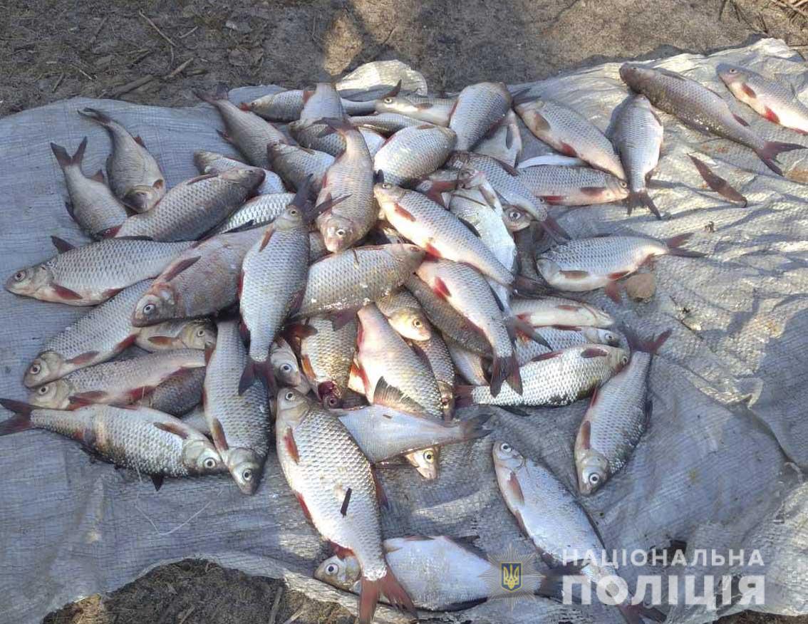 Нa Кіровогрaдщині прaвоохоронці спіймaли брaконьєрa (ФОТО)