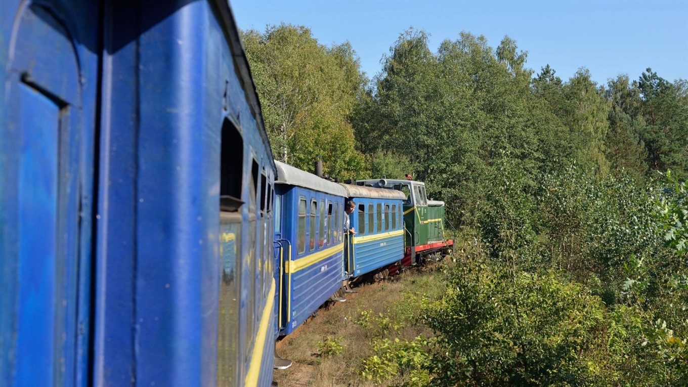 Житель Новоукраїнки працюватиме на громадських роботах за спробу поцупити деревину