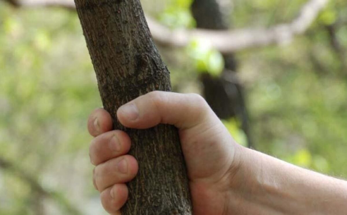 На Кіровоградщині господар палицею забив до смерті гостя