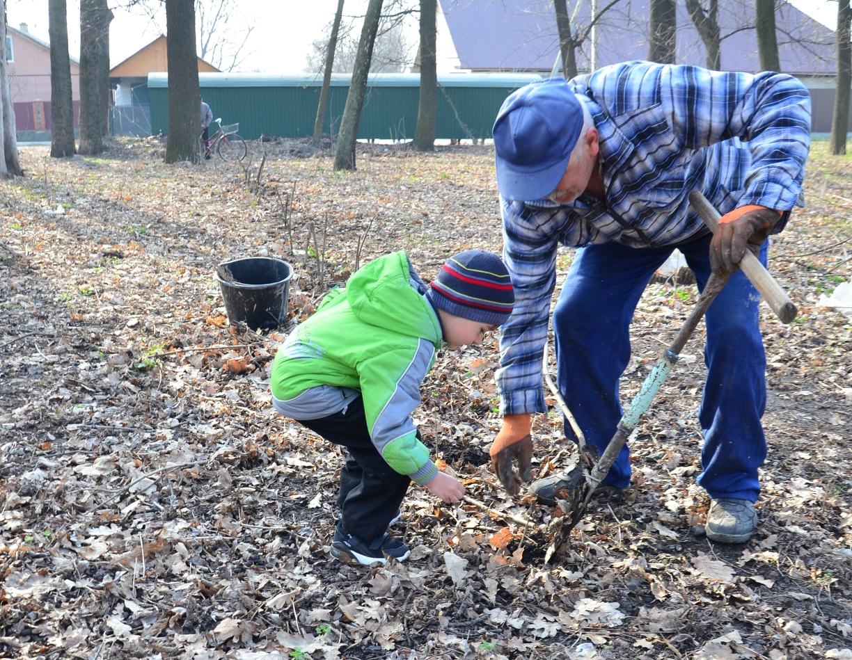 Житель Кiровоградщини разом з сусiдами висадив сквер (ФОТО)
