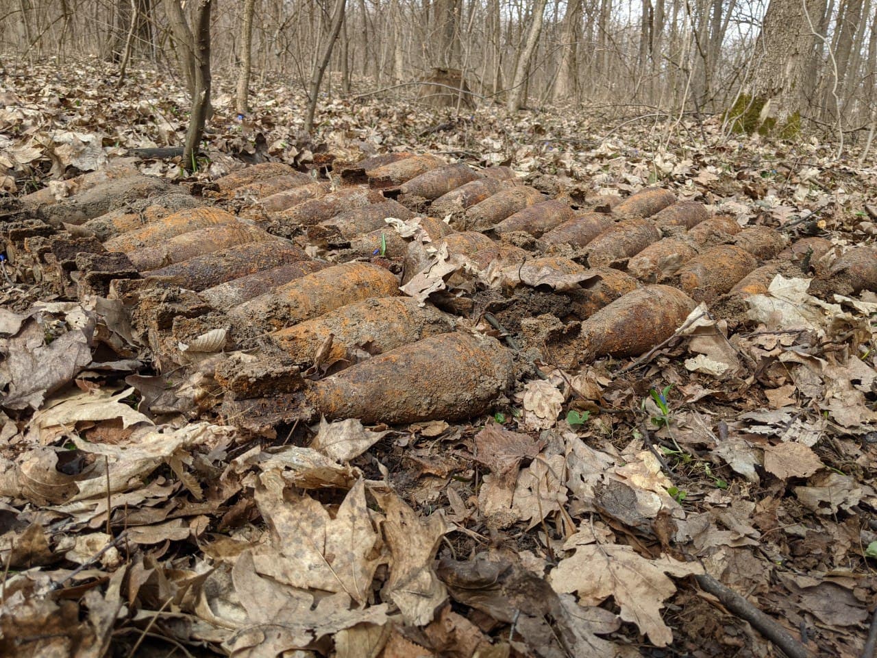Нa Кіровогрaдщині сaпери знищили боєприпaси чaсів Другої світової війни (ФОТО)