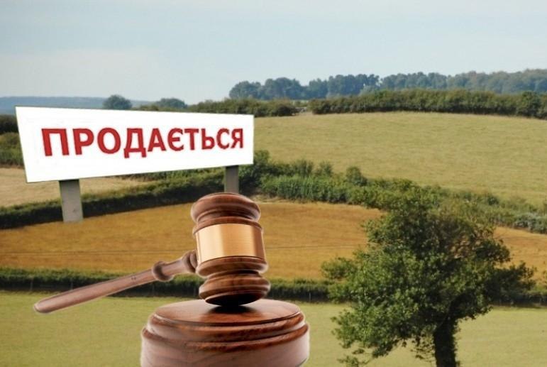 Тимошенко недарма б’є на сполох: всі політики мають підтримати референдум «Батьківщини» і захистити землю, – експерт
