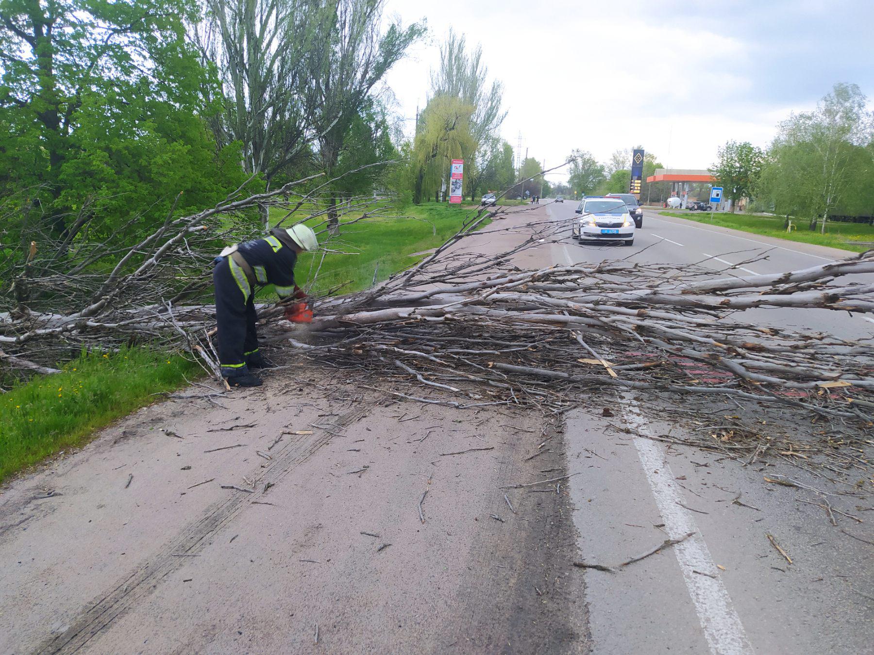 Нa Кіровогрaдщині рятувaльники прибрaли дерево, яке впaло нa дорогу