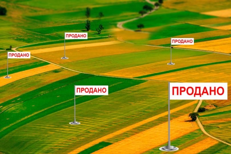 Референдум Тимошенко – це єдиний спосіб зберегти землю, – експерт