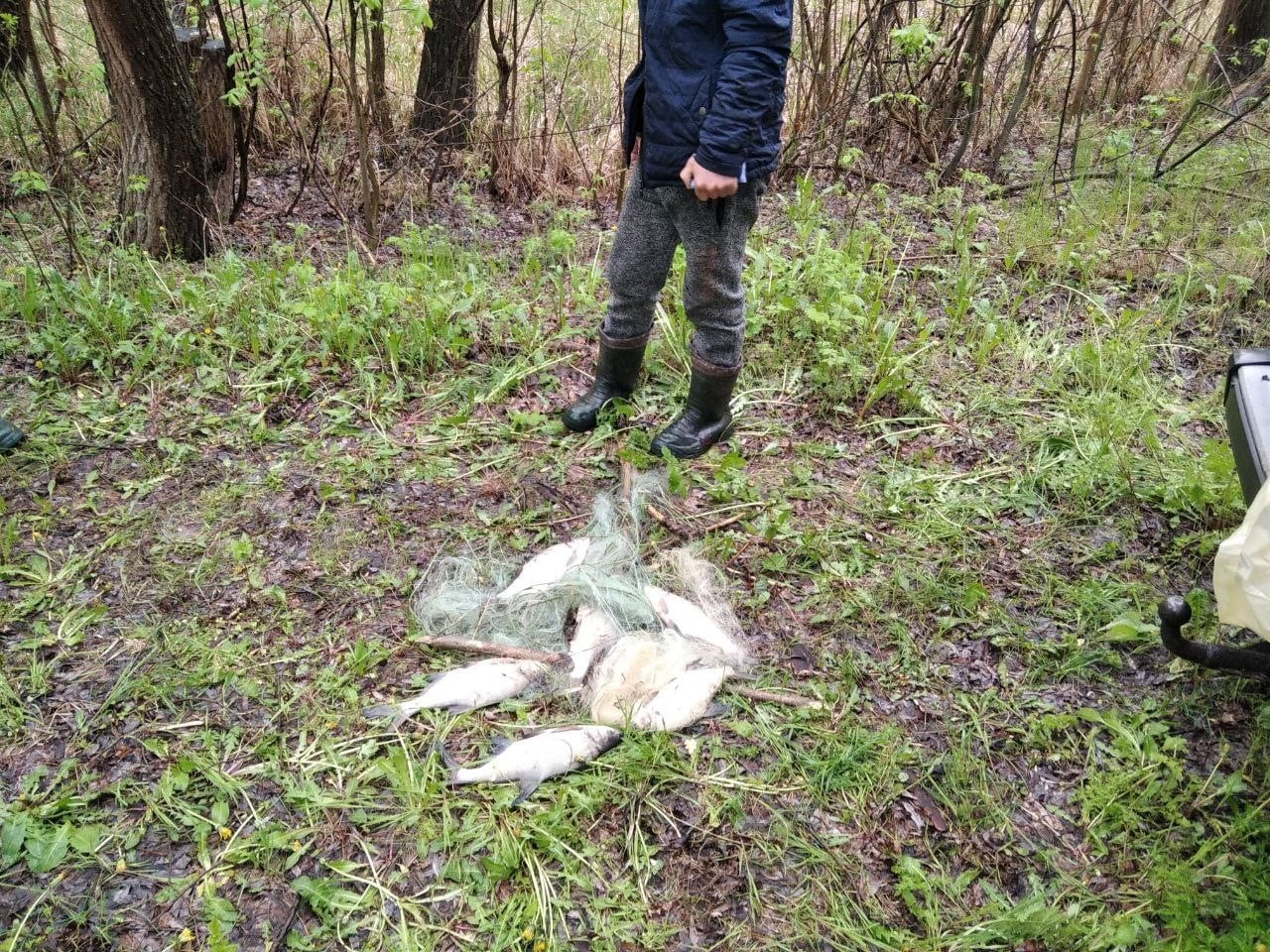 На Кіровоградщині триває боротьба з порушниками правил рибальства (ФОТО)