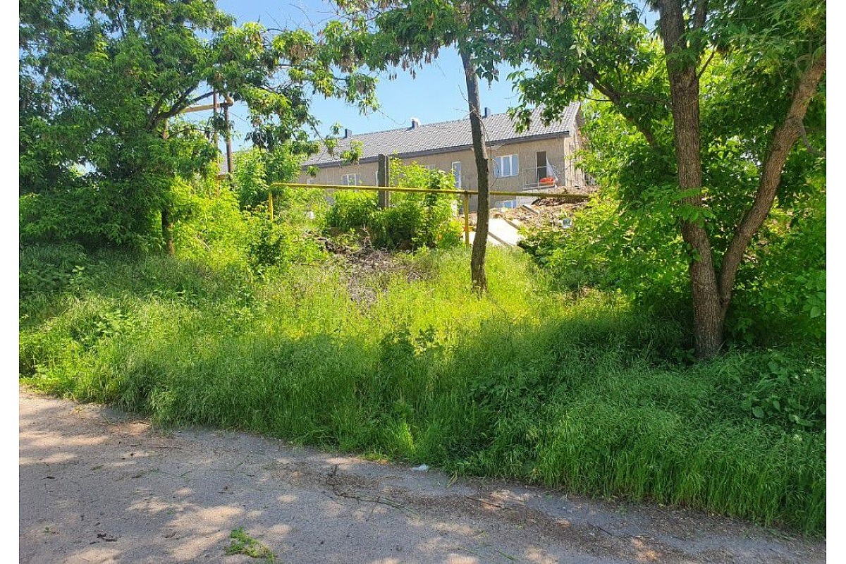 У Кропивницькому порушники блaгоустрою отримaли aдмінпротоколи