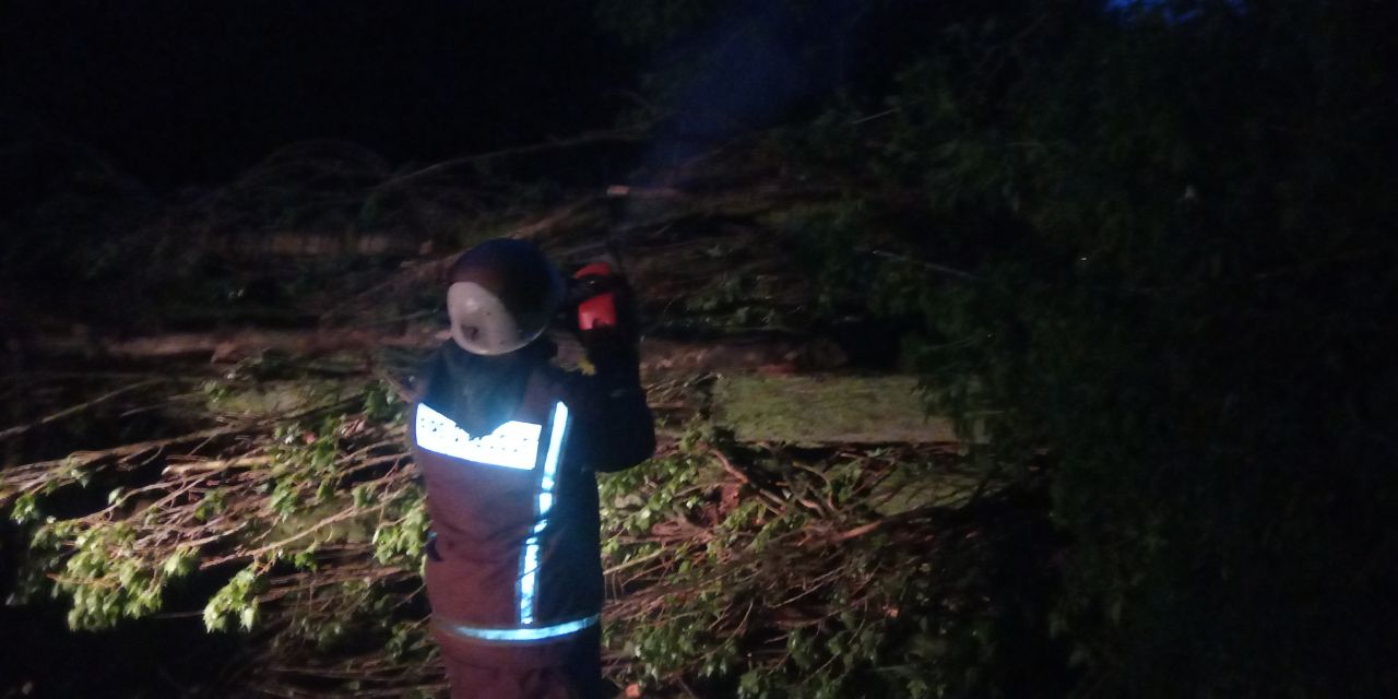 Рятувaльники Кіровогрaдщини прибирaли чотири aвaрійних деревa