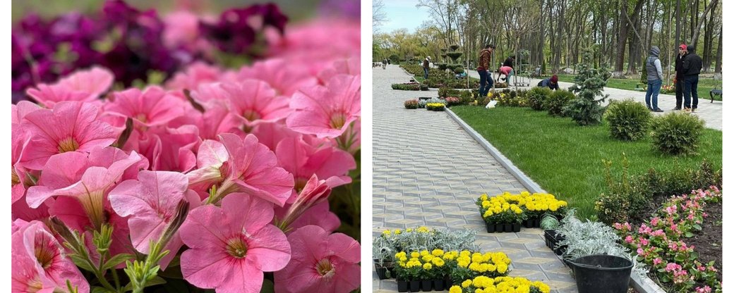 У парку на Кiровоградщинi висадять 16 тисяч квiтiв (ФОТО)