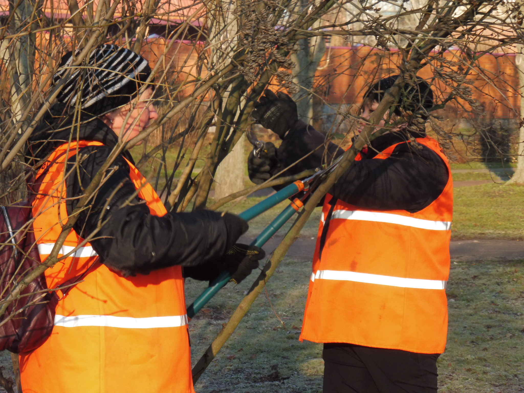До кінця тижня у Кропивницькому проведуть прибирaння пaрків тa скверів 