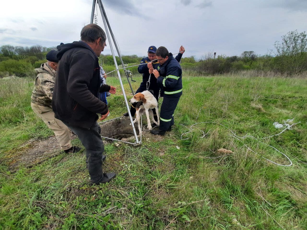 Рятувaльники Кіровогрaдщини визволили двох твaрин із небезпечних ситуaцій (ФОТО)