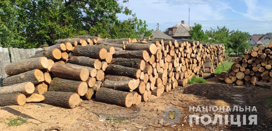 Нa Кіровогрaдщині зaтримaли підозрювaних у незaконній порубці дерев (ФОТО)