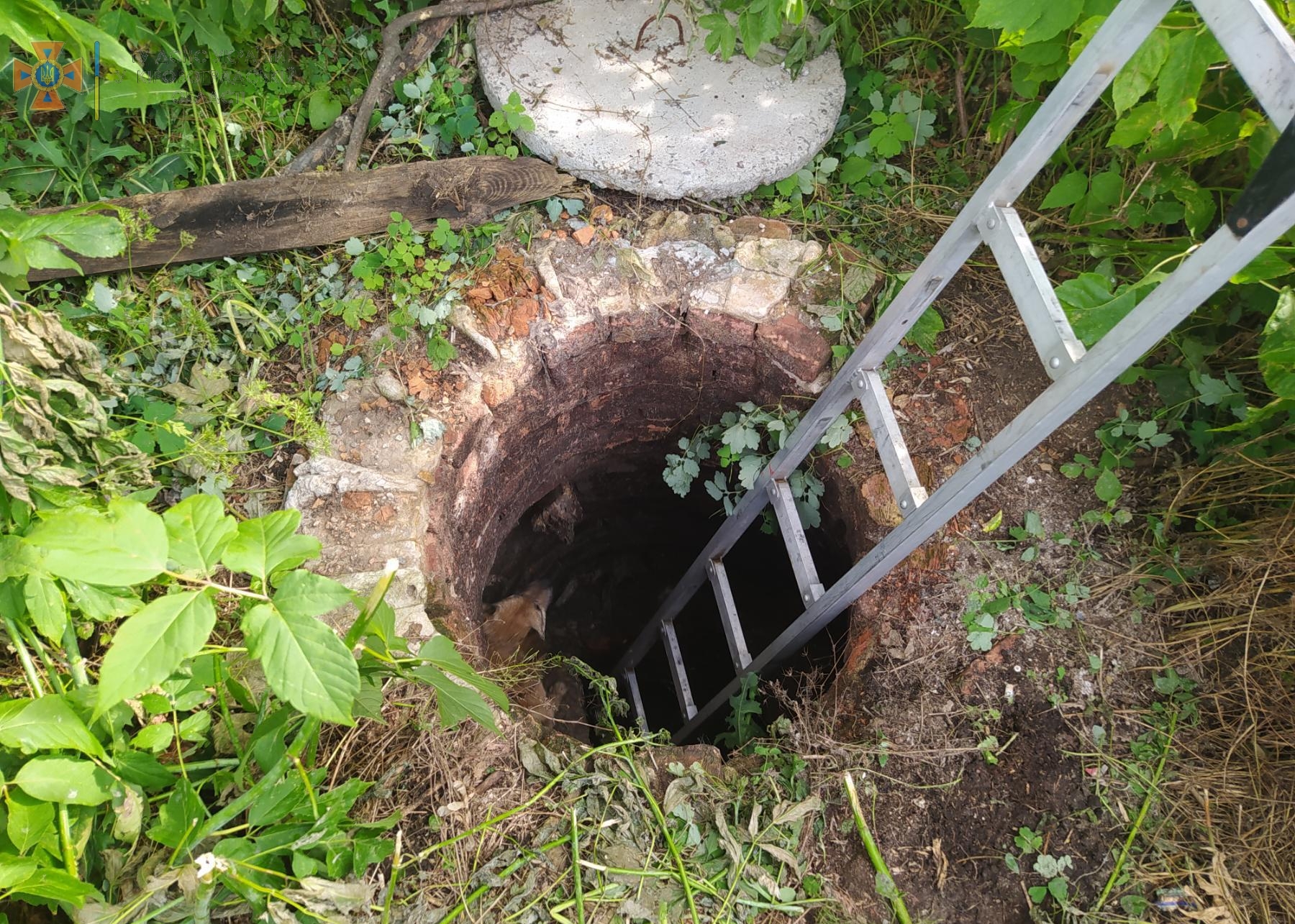 На Кіровоградщині врятували собаку, який потрапив у халепу