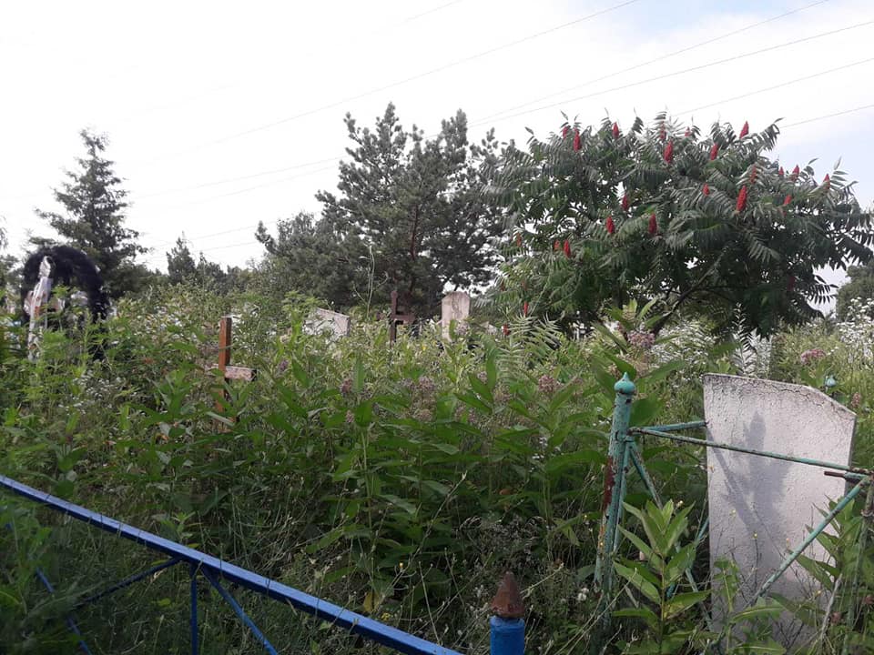 На Кіровоградщині позаростали кладовища (ФОТОФАКТ)