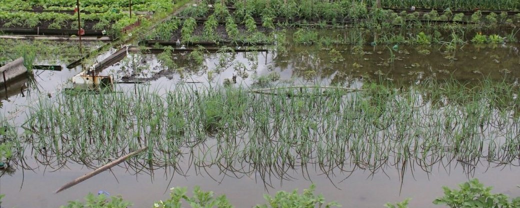 Через зливу на Кiровоградщинi прорвало три дамби