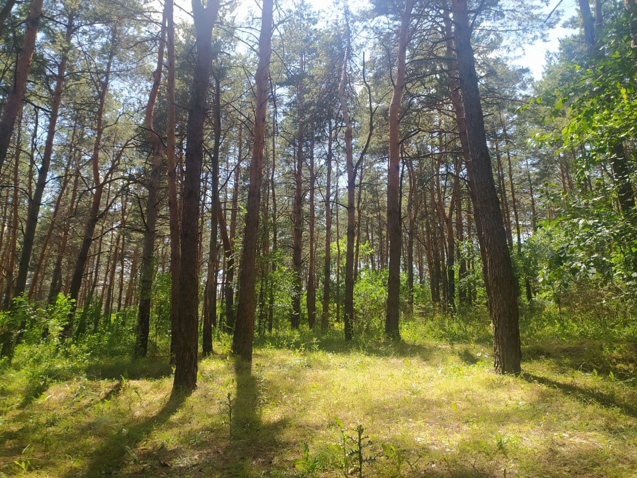 Кропивницький лікар розповів як виживати при +32