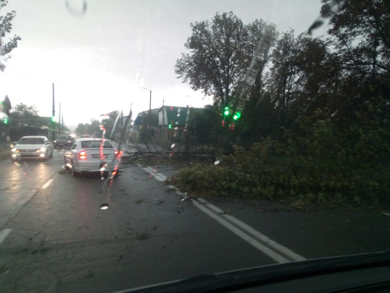 У Кропивницькому валяться дерева