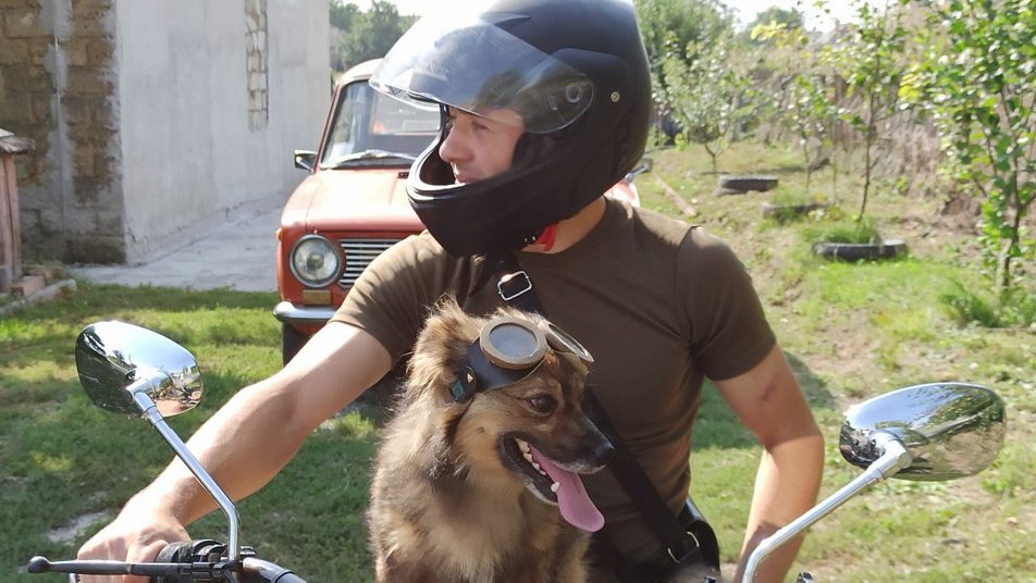 Хвостатий байкер з Кiровоградщини подорожує з господарем (ВIДЕО)