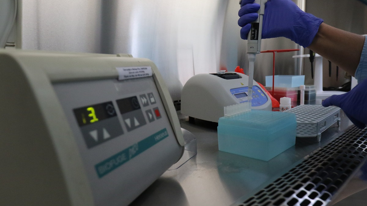 Держпродспоживслужба Кіровоградщини планує придбати легковий спецавтомобіль