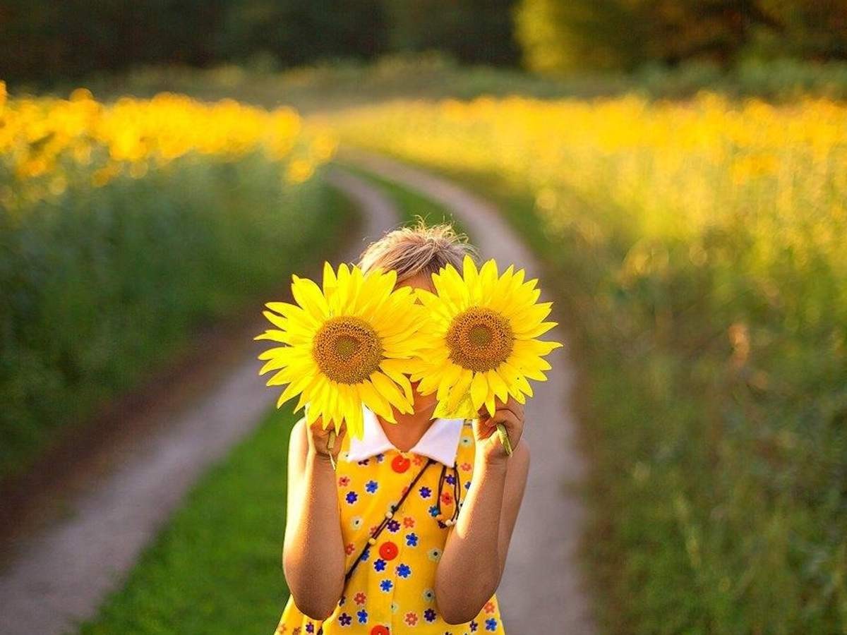 На тривалі серпневі вихідні діапазон температури в Україні від +17 °С на заході до +30 °С на півдні