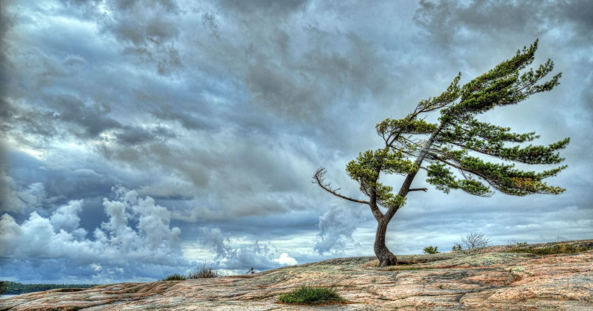 На Кіровоградщині очікується сильний вітер
