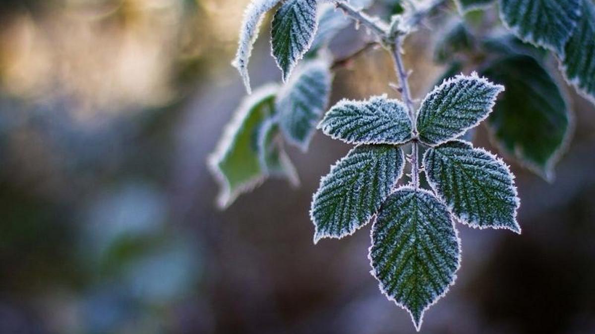 На Кіровоградщині оголосили штормове попередження