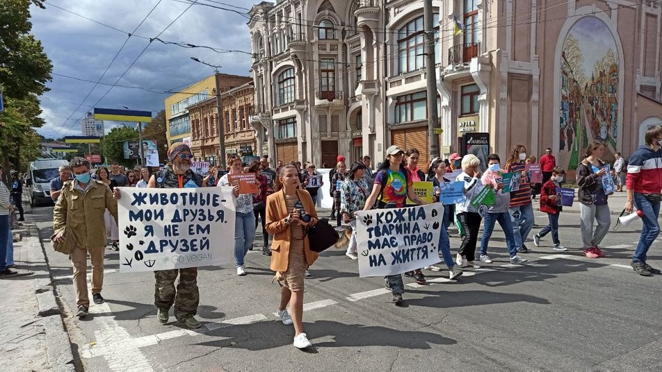 Захисники тварин пройшлися маршем у Кропивницькому (ФОТО)
