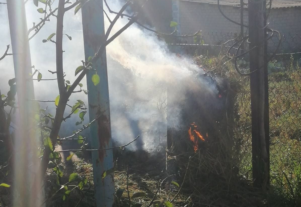 На Кіровоградщині каратимуть паліїв трави